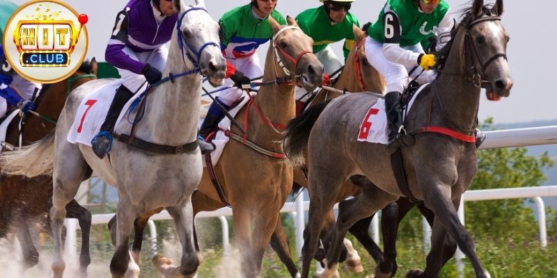 Sảnh Games HitClub Có Nhiều Người Chơi Nhất 2026 Sảnh Games HitClub Có Nhiều Người Chơi Nhất 2026