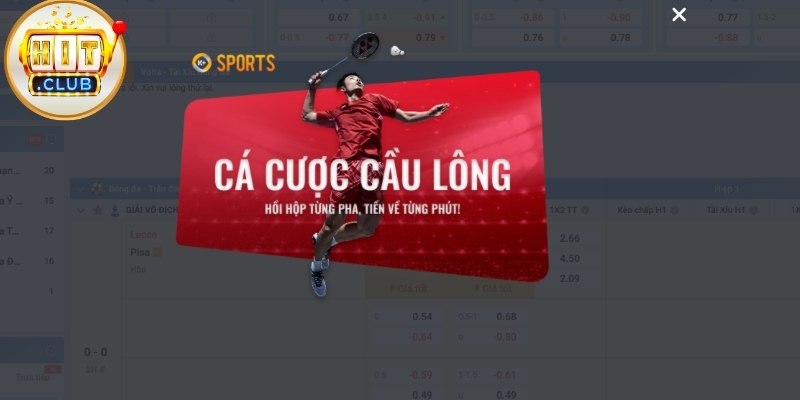 K Thể Thao Là Gì Và Vì Sao Được Nhiều Người Quan Tâm K Thể Thao Là Gì Và Vì Sao Được Nhiều Người Quan Tâm